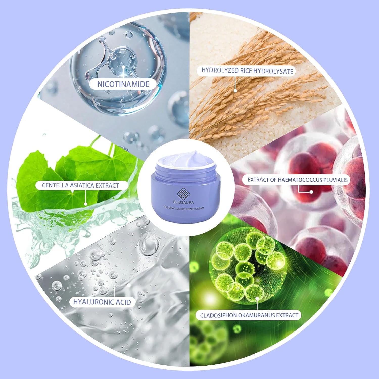 The Dewy Moisturizer Cream - Premium Anti-Aging Facial Dewy Skin Cream with Purple Rice & Hyaluronic Acid for Radiant, Hydrated Skin 50Ml/1.7 Fl Oz